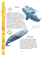 КАЛИНКА - Image 38