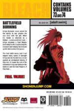 Bleach 3-IN-1, Vol. 25 - Image 2
