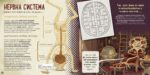 Човешкият мозък (Timelines) - Image 4