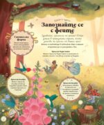 Тайният клуб на феите - Image 2