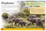 Ultimate Animal Encyclopedia - Image 2