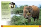 Ultimate Animal Encyclopedia - Image 3