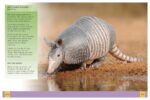 Ultimate Animal Encyclopedia - Image 4