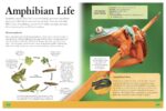 Ultimate Animal Encyclopedia - Image 5